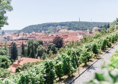 Villa Richter, F&P Wedding